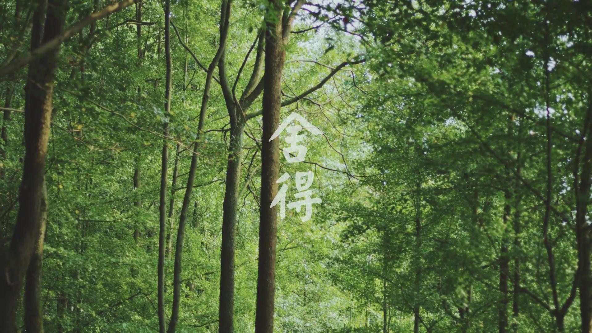 舍得酒業(yè)股份有限公司