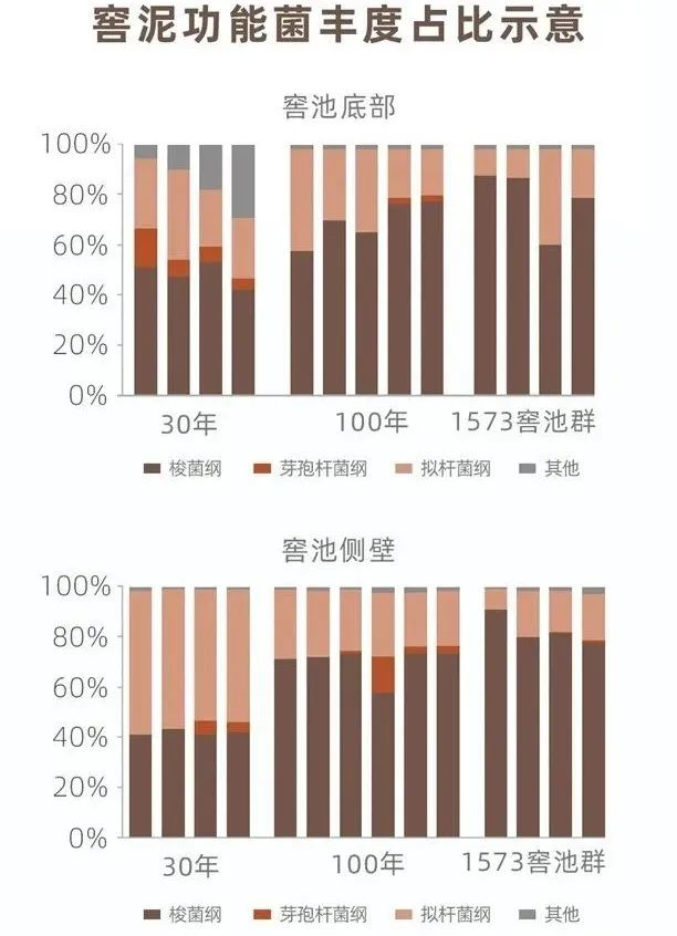 是什么成就了川酒濃香一一國寶窖池450年